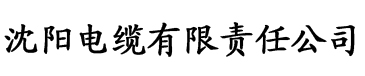 秋霞电影院中文字幕电缆厂logo